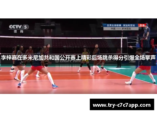 李梓嘉在多米尼加共和国公开赛上精彩后场跳杀得分引爆全场掌声 李梓嘉在多米尼加共和国公开赛上精彩后场跳杀得分引爆全场掌声